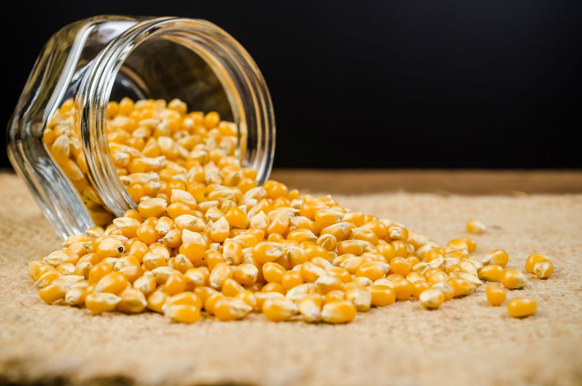 Neka vas se gosti sjete kada se uz kokice bace na gledanje filma