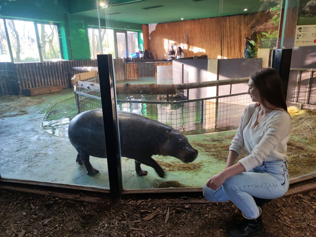 Malena patuljasta vodenkonjica iz zagrebačkog zoo vrta dobila je ime Lotta - 6