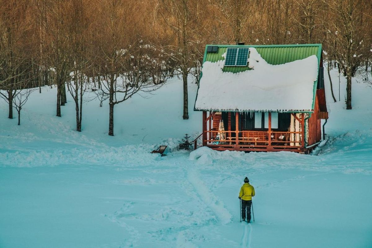 Koliba Šume pjevaju