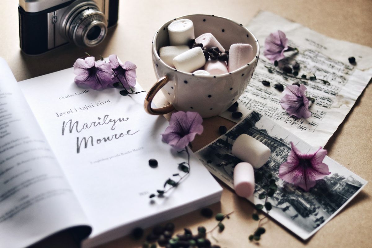 \'Javni i tajni život Marilyn Monroe\', svježi je pogled na život ove platinaste božice