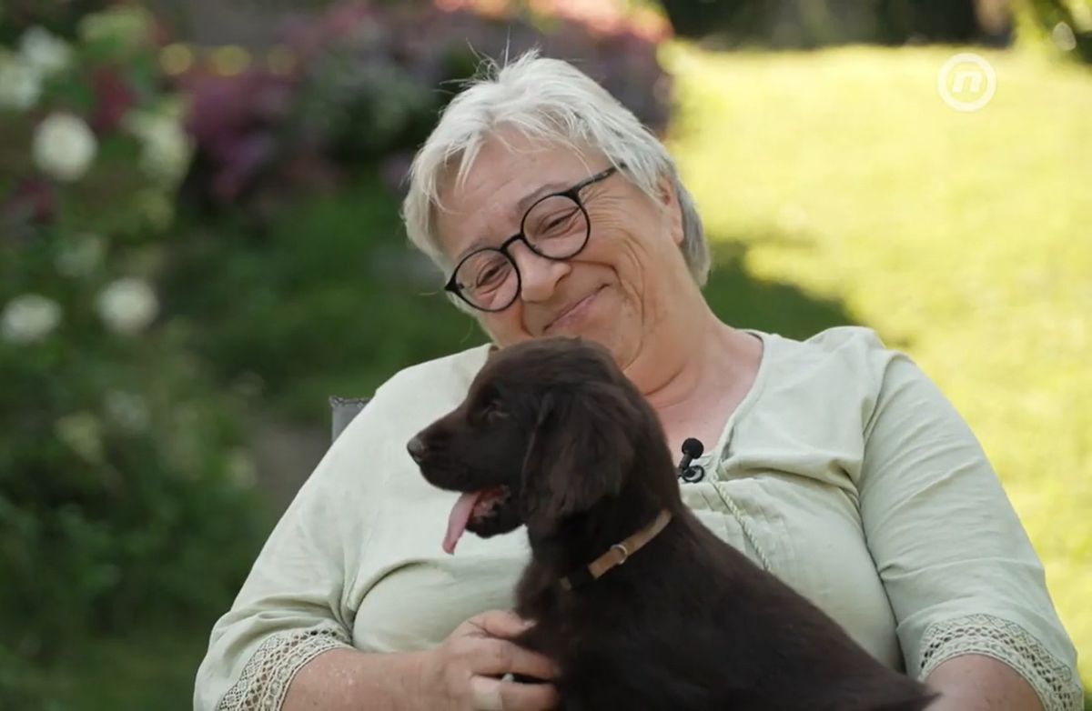 Dobroćudni, veseli i prepuni ljubavi, ravnodlaki retriveri svojim karakterom i izgledom osvajaju sve oko sebe - 1