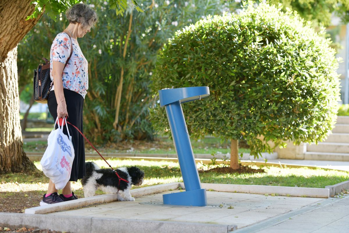U Šibeniku su postavljene česme na kojima mogu piti i životinje - 1