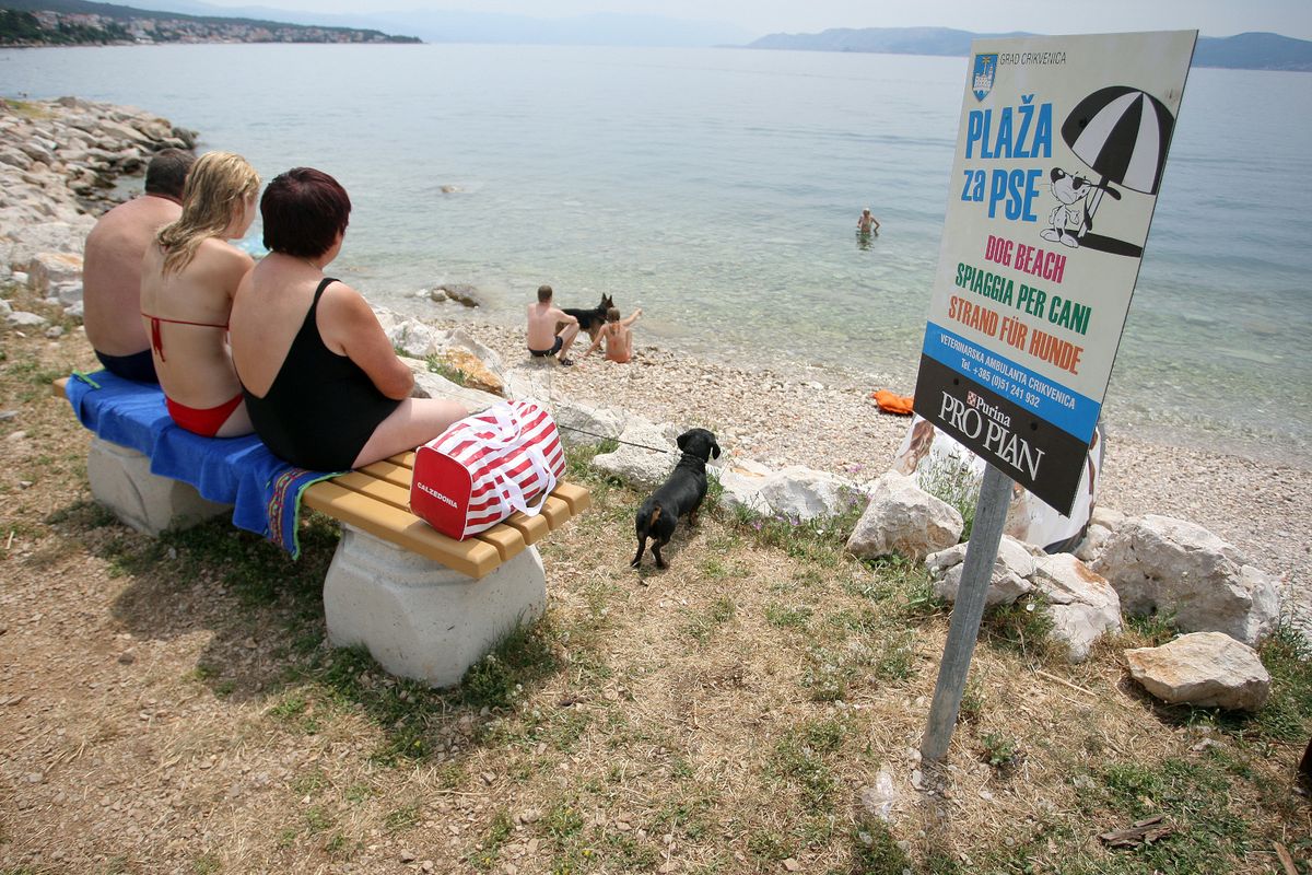 Dog friendly plaža Podvorska u Crikvenici - 2