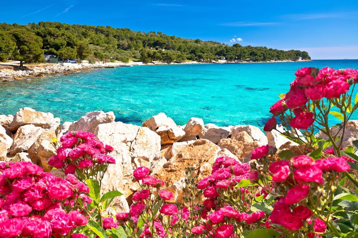 Plaža Slanica