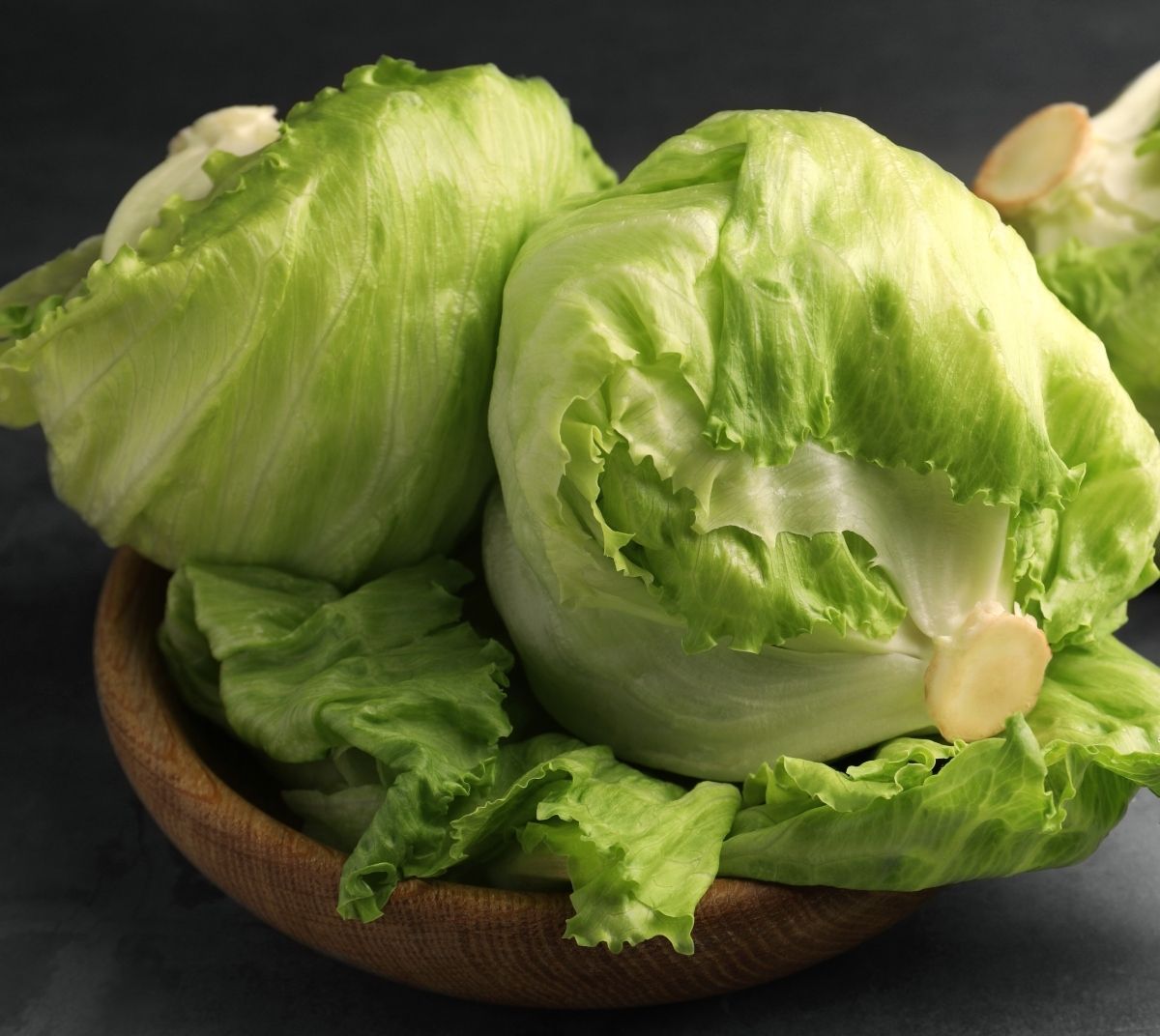 Iceberg salata