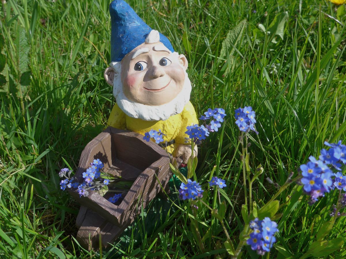 Patuljak je najslađi ukras vrta - 2