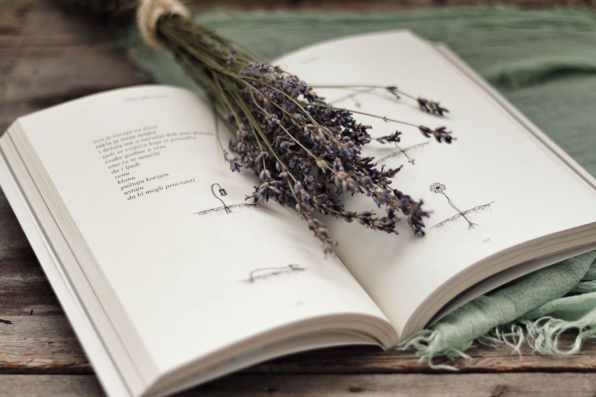 Rupi Kaur Sunce i njeni cvjetovi