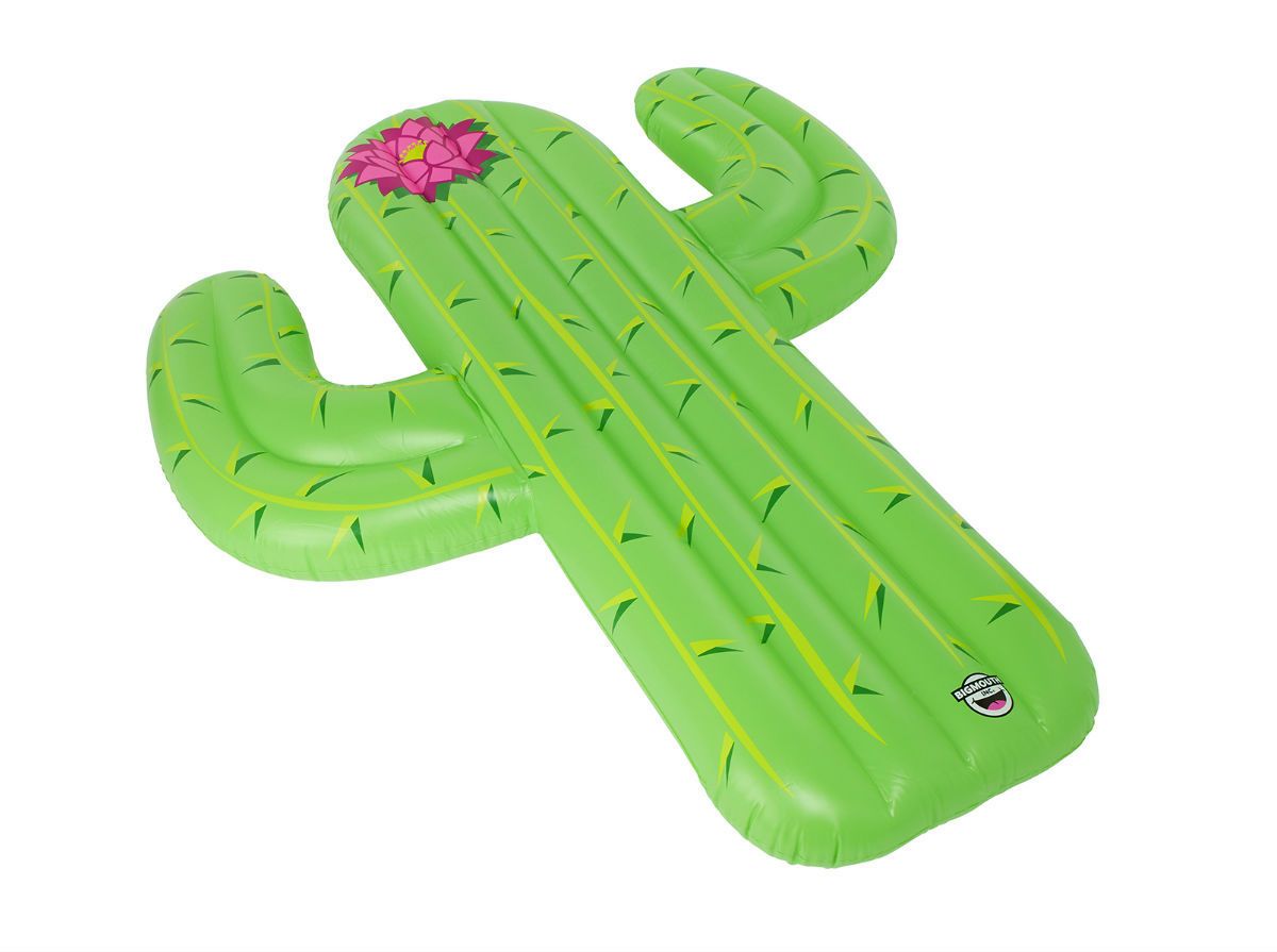 Detalji kao stvoreni za ljubiteljice kaktusa - 1