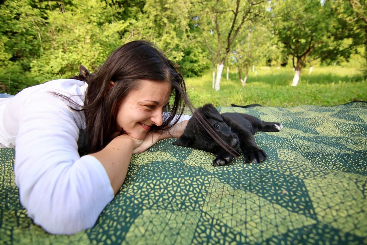 Štenci iz udruge Kako psi komuniciraju, koji se udomljavaju, zvijezde su kampanje \'Prva četiri su najvažnija\' - 1