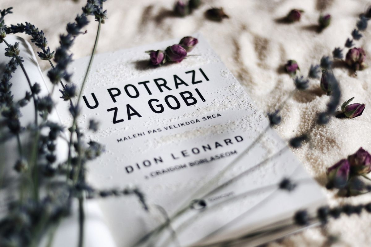 Knjiga \'U potrazi za Gobi\' upoznaje nas s malenim psom velikoga srca