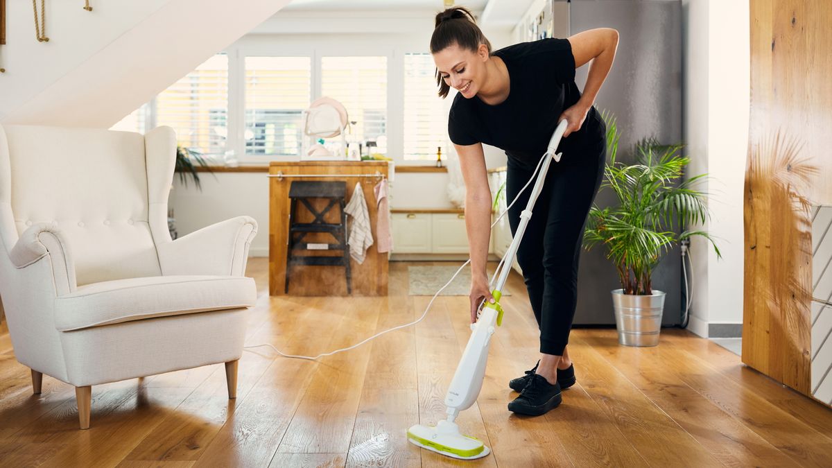 Rovus parni čistač