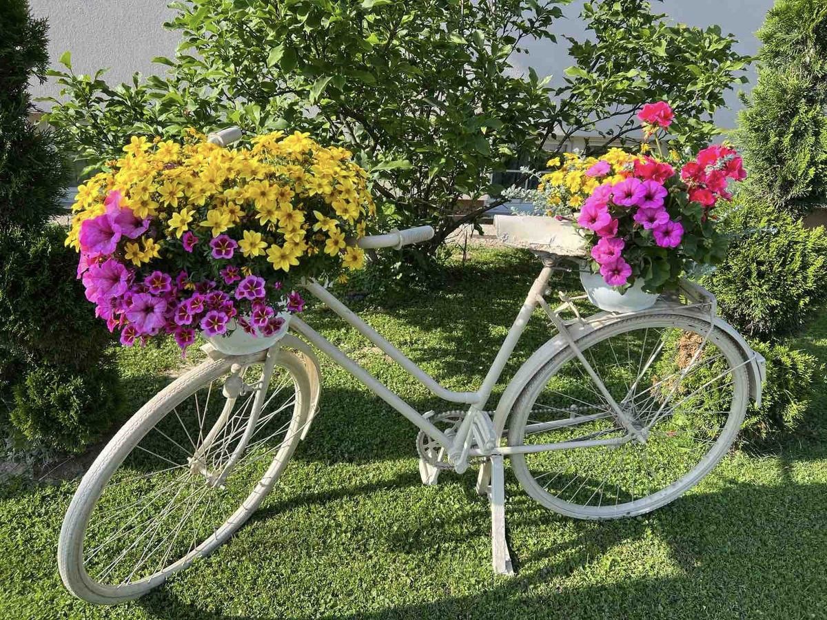 Medicinska sestra Marija Ričko ima najljepše dvorište u okolici Ludbrega - 10