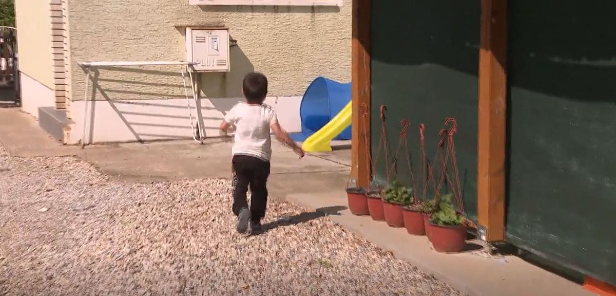 IN magazin: udomiteljica Ana - 4