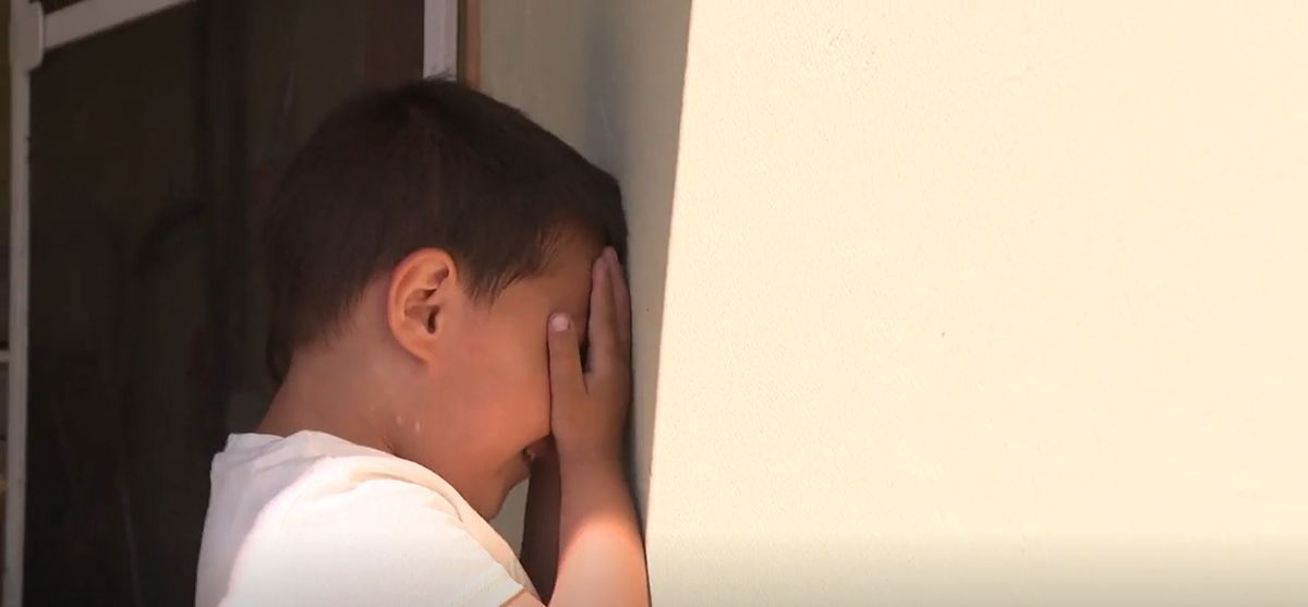 IN magazin: udomiteljica Ana - 5