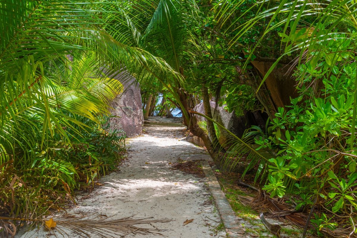 Plaža Anse Source D'argent na Sejšelima