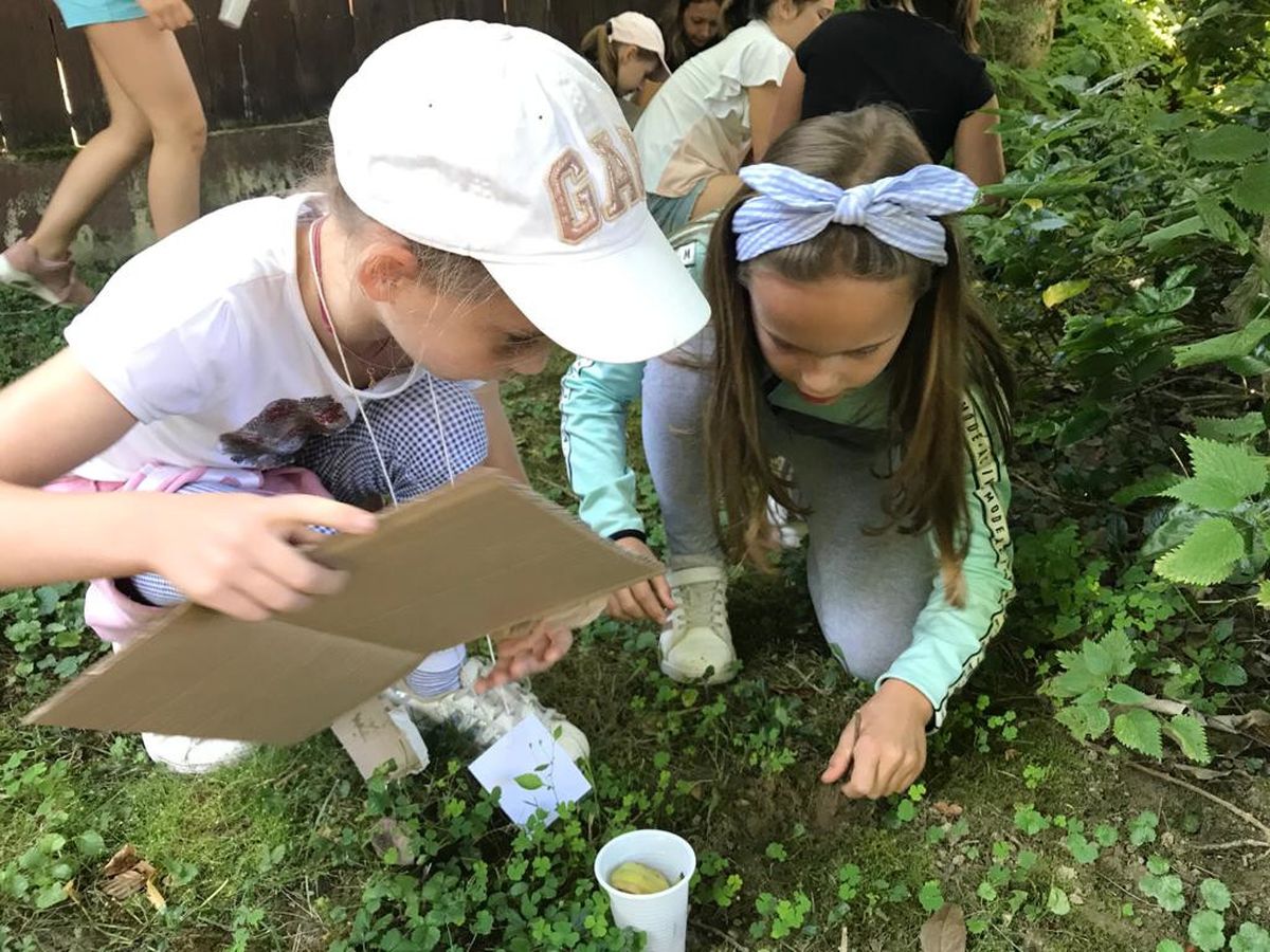 Tijekom ljetnih školskih praznika u Zoološkom vrtu Grada Zagreba održava se Divlje ljeto - 2