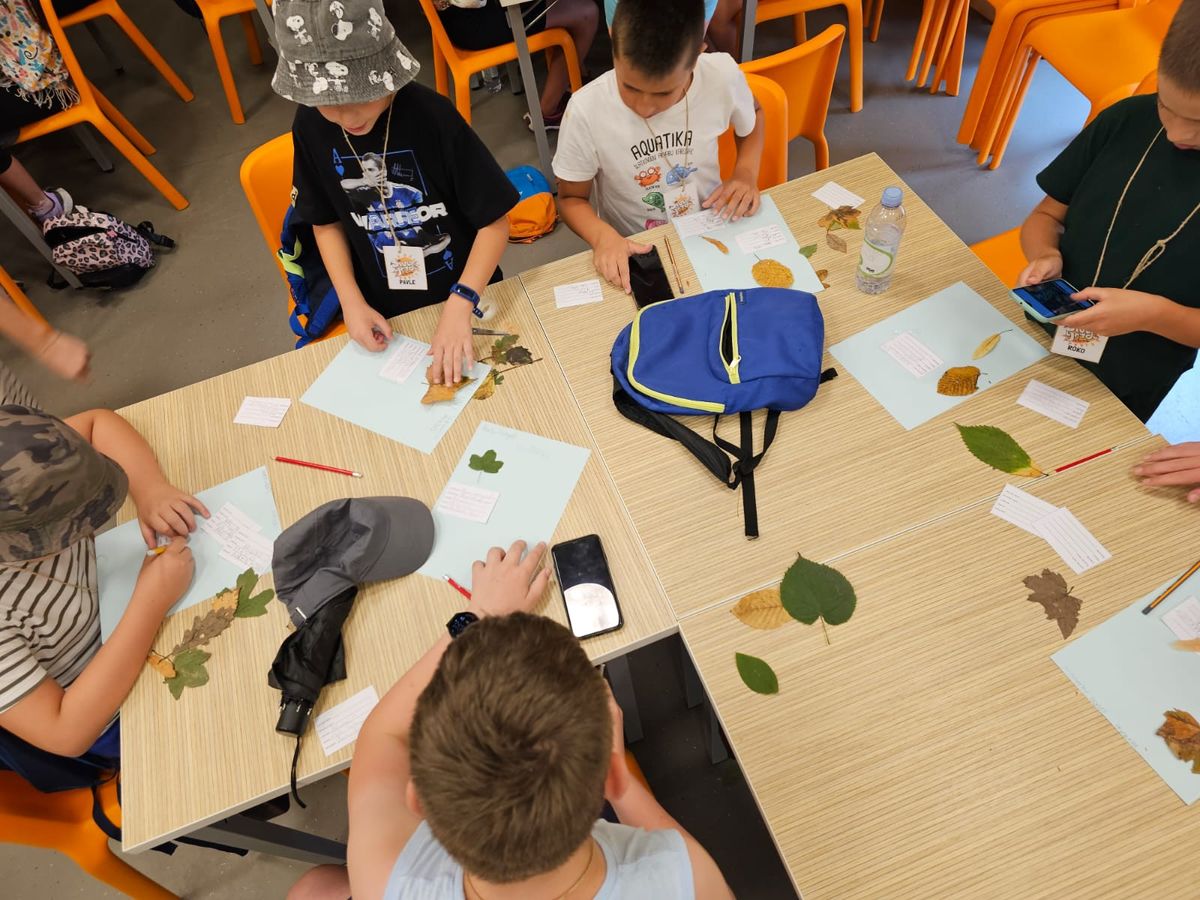 Tijekom ljetnih školskih praznika u Zoološkom vrtu Grada Zagreba održava se Divlje ljeto - 4