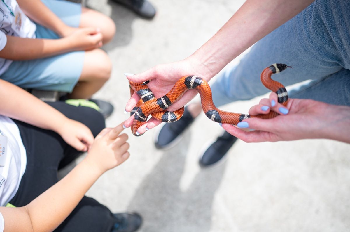 Zoološki vrt Grada Zagreba slavi sto godina postojanja - 5
