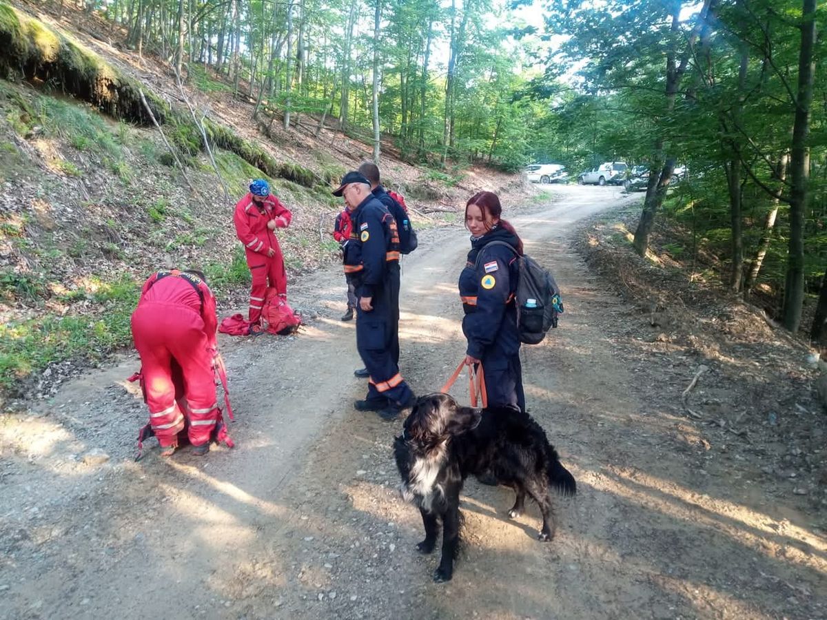 Oni odlaze kamo nitko drugi ne može: Potražni psi DVD-a Zapad u akcijama koje oduzimaju dah