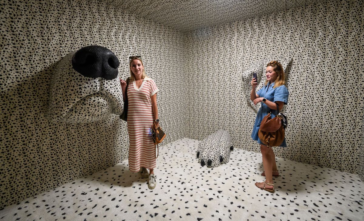 Kuća dalmatinskog psa otvorena je u Šibeniku - 2