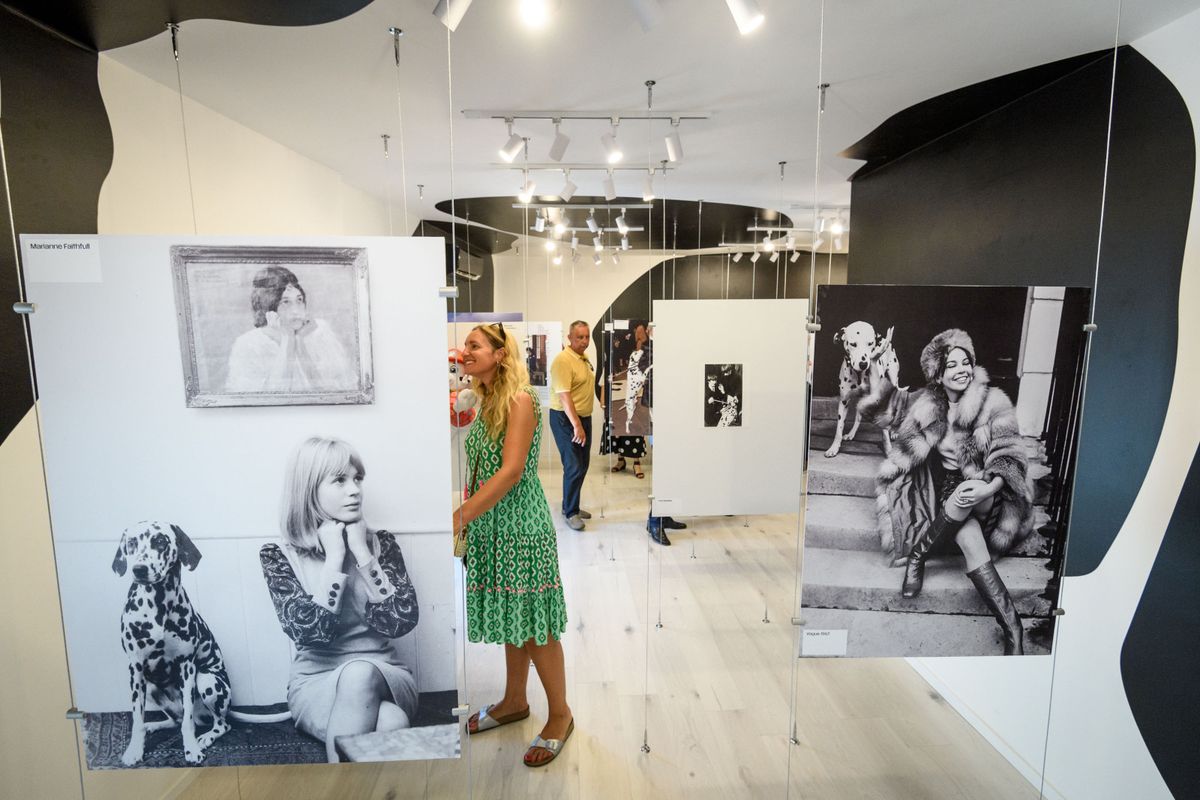 Kuća dalmatinskog psa otvorena je u Šibeniku - 6