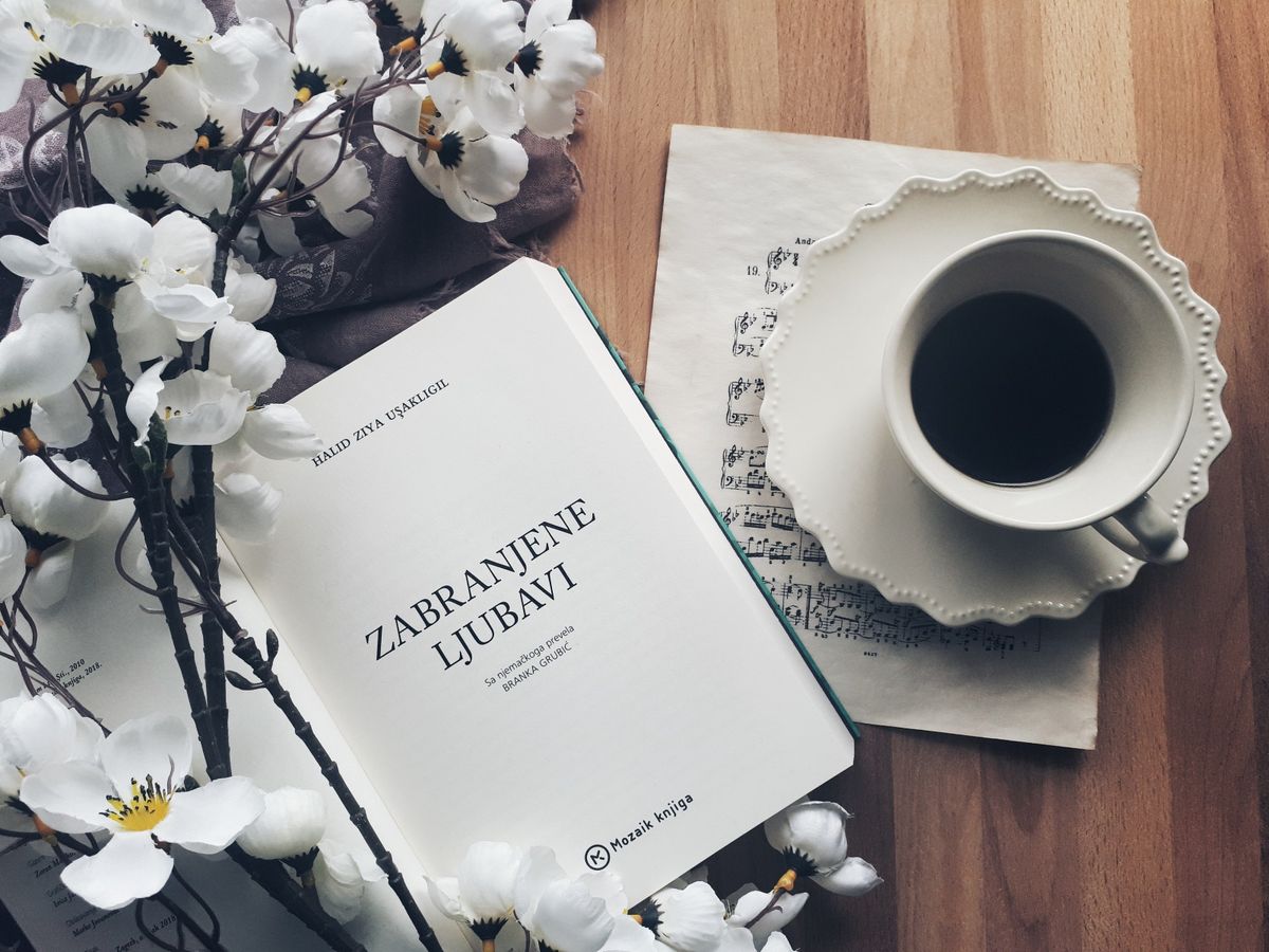 Roman \'Zabranjene ljubavi\' smatra se početkom suvremene turske književnosti