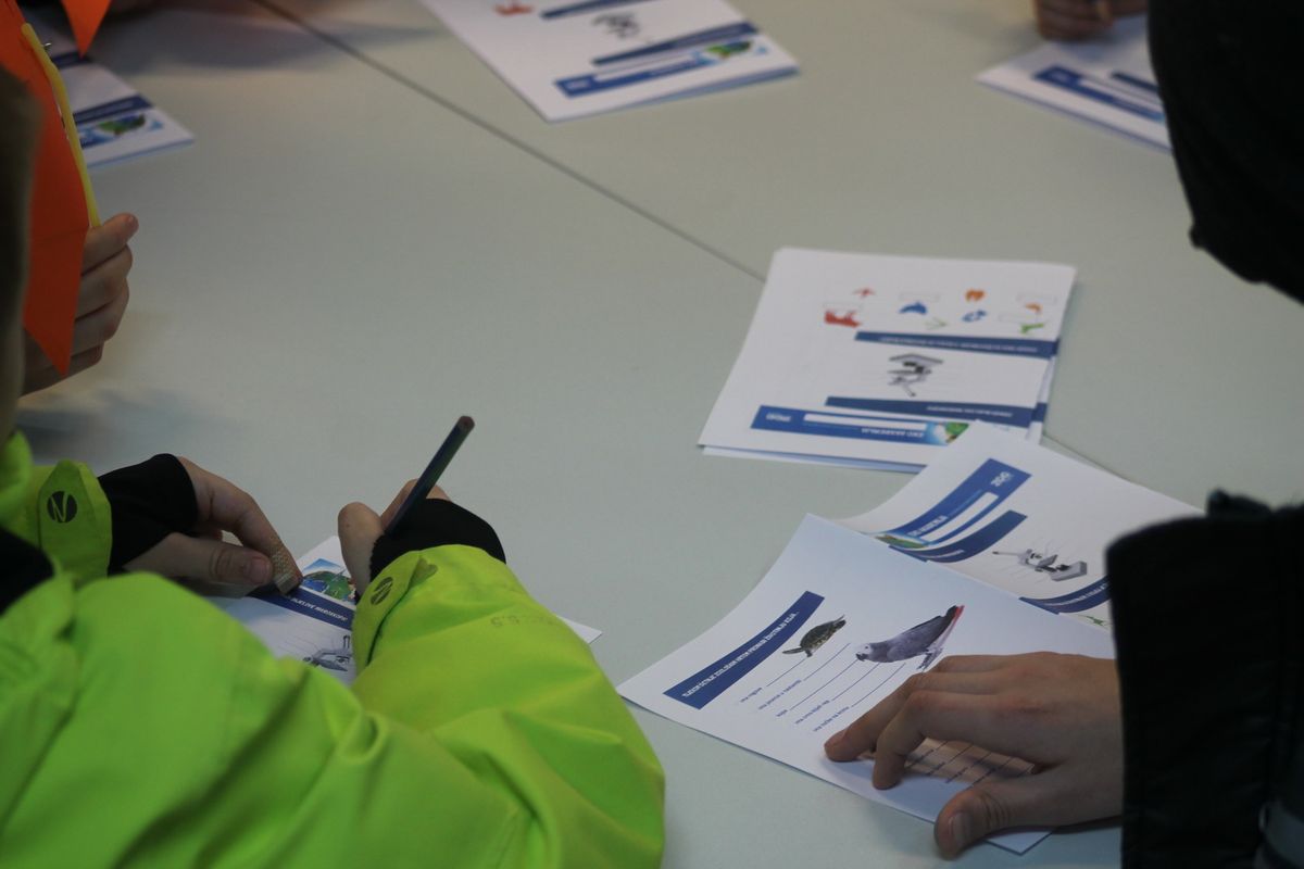 Programi Eko akademije upotpunjeni su zanimljivim igrama, a naglašavaju vrijednosti znatiželje te timskog rada