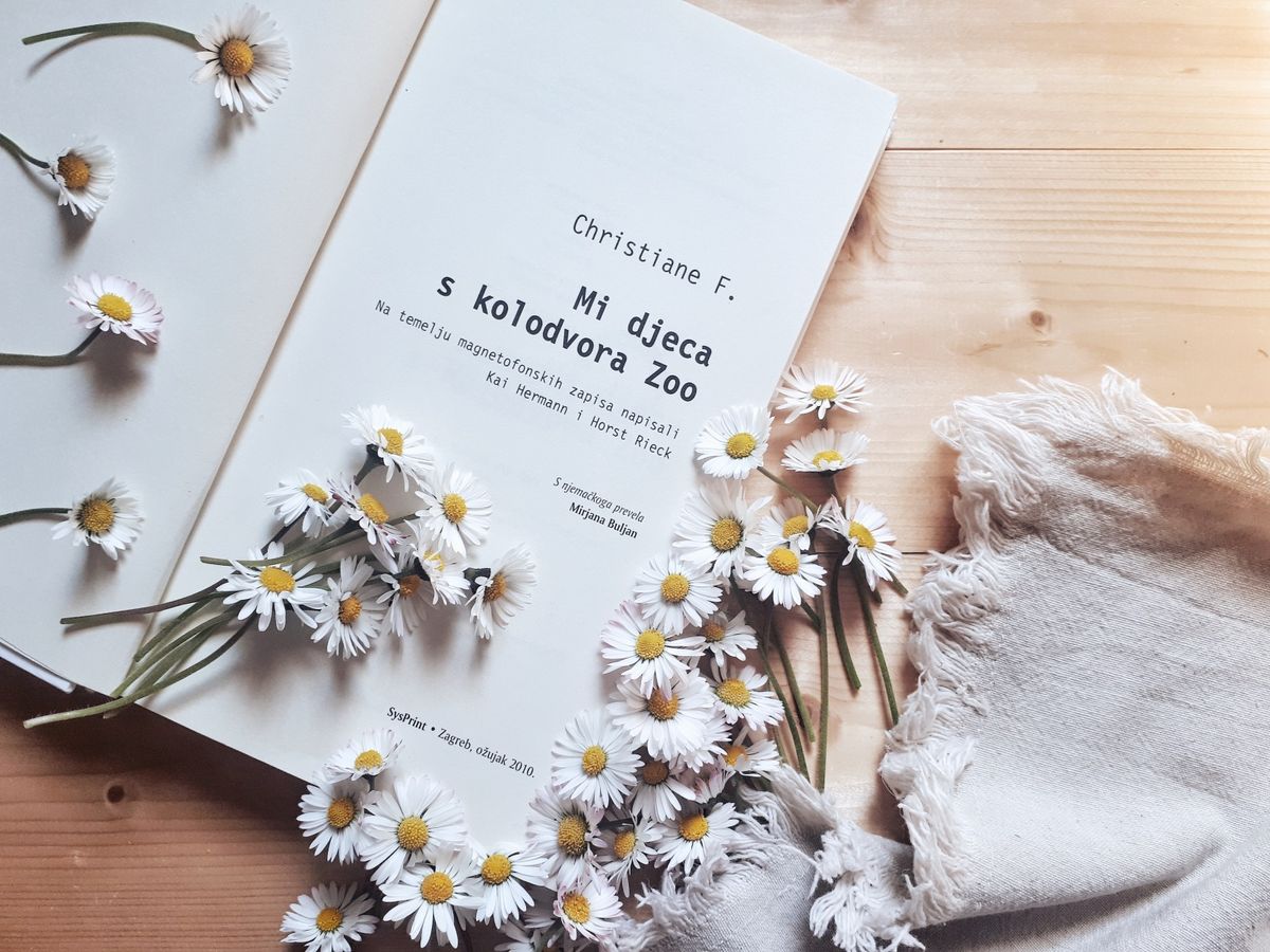 Mi djeca s kolodvora ZOO