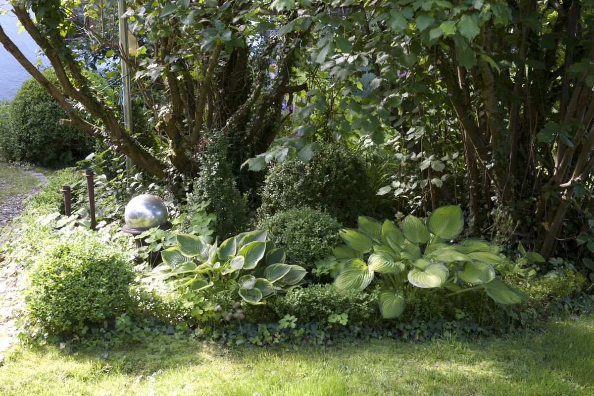 Sanjivo dvorište s ružama i puno zelenila - 6