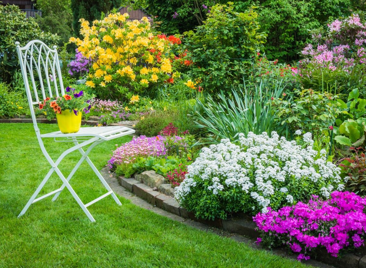Vrt će zasjati ako ne radite greške koje uništavaju napredak biljaka