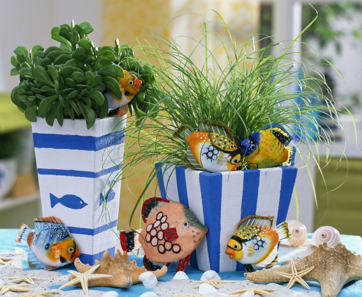 Zbog sokova u listovima sukulenti mogu preživjeti u ekstremno suhim i vrućim uvjetima - 11