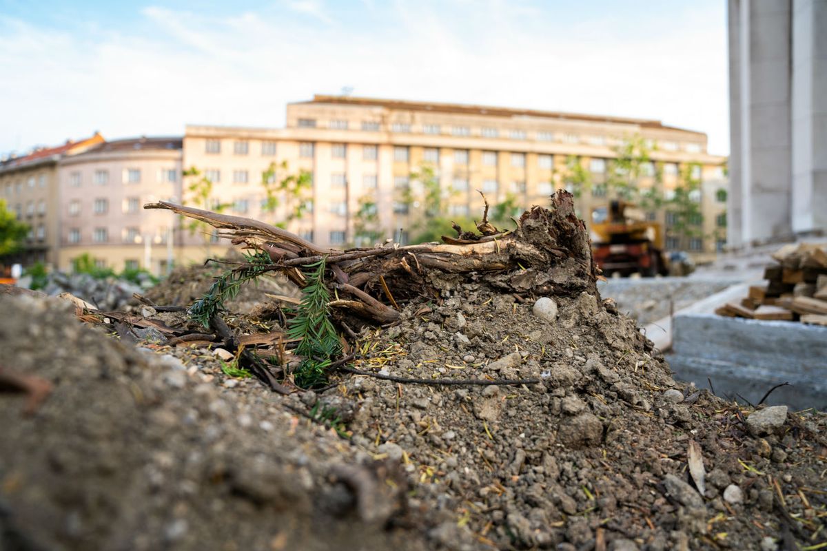 Ostaci Štulićeve tise