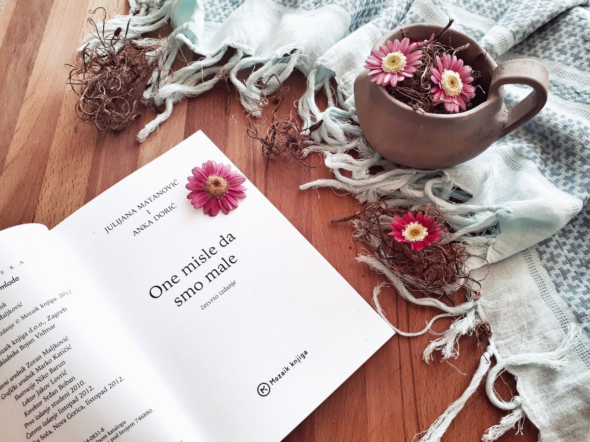 Edukativan i zabavan roman koji u sebi sadrži svojevrstan priručnik za odgovorno spolno ponašanje mladih