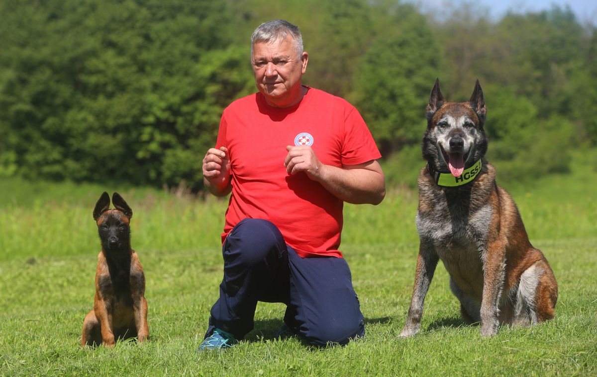 Mladi belgijski ovčar Zorro novi je potražni pas HGSS stanice Ogulin - 9