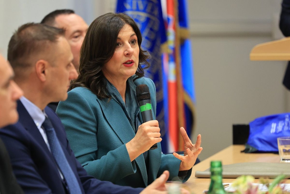 Sanja Musić Milanović na okruglom stolu - 4