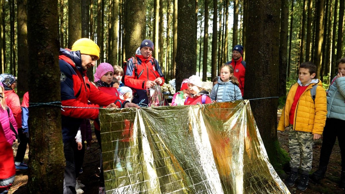 Mali heroji naučili su kako sagraditi sklonište u šumi