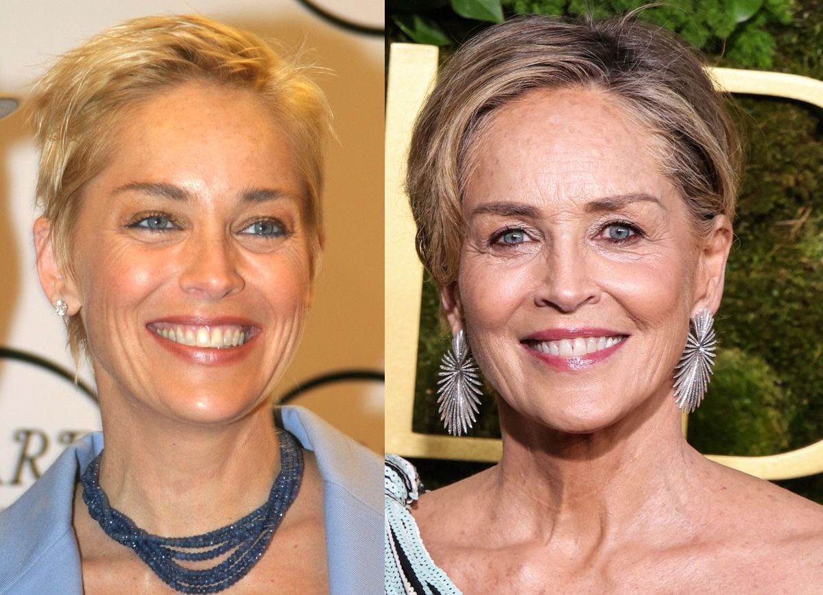 Sharon Stone 2004. i 2024.