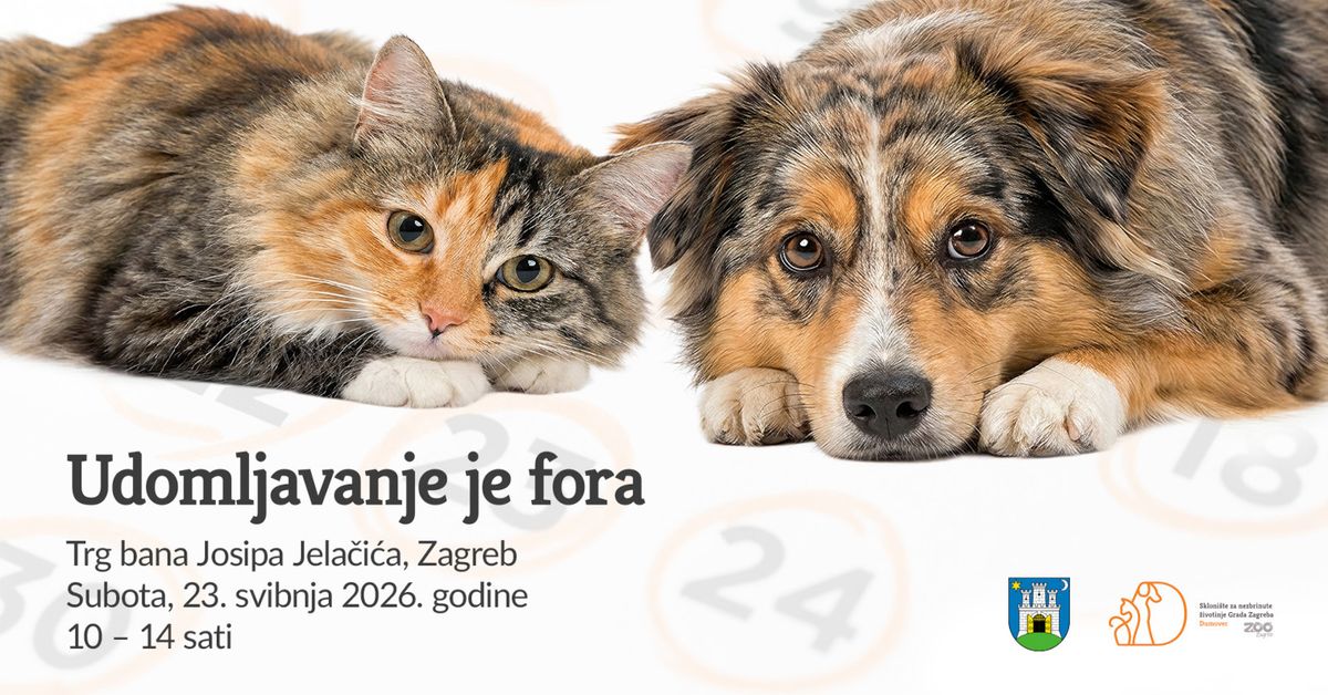 Nova akcija Udomljavanje je fora u subotu 23. svibnja - 3