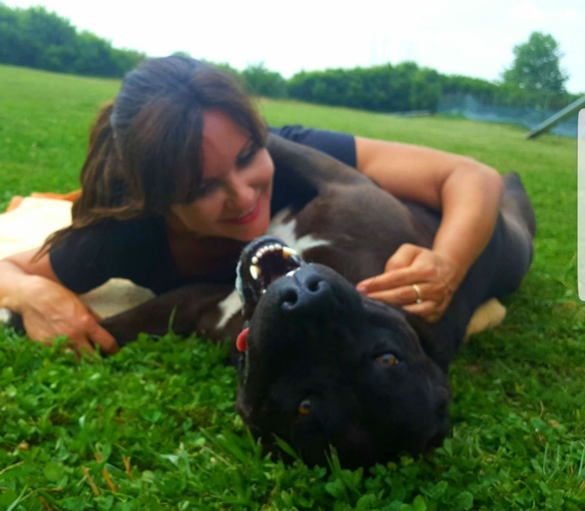 Ljepotica Megi u azilu Dumovec čeka svoj novi dom - 3