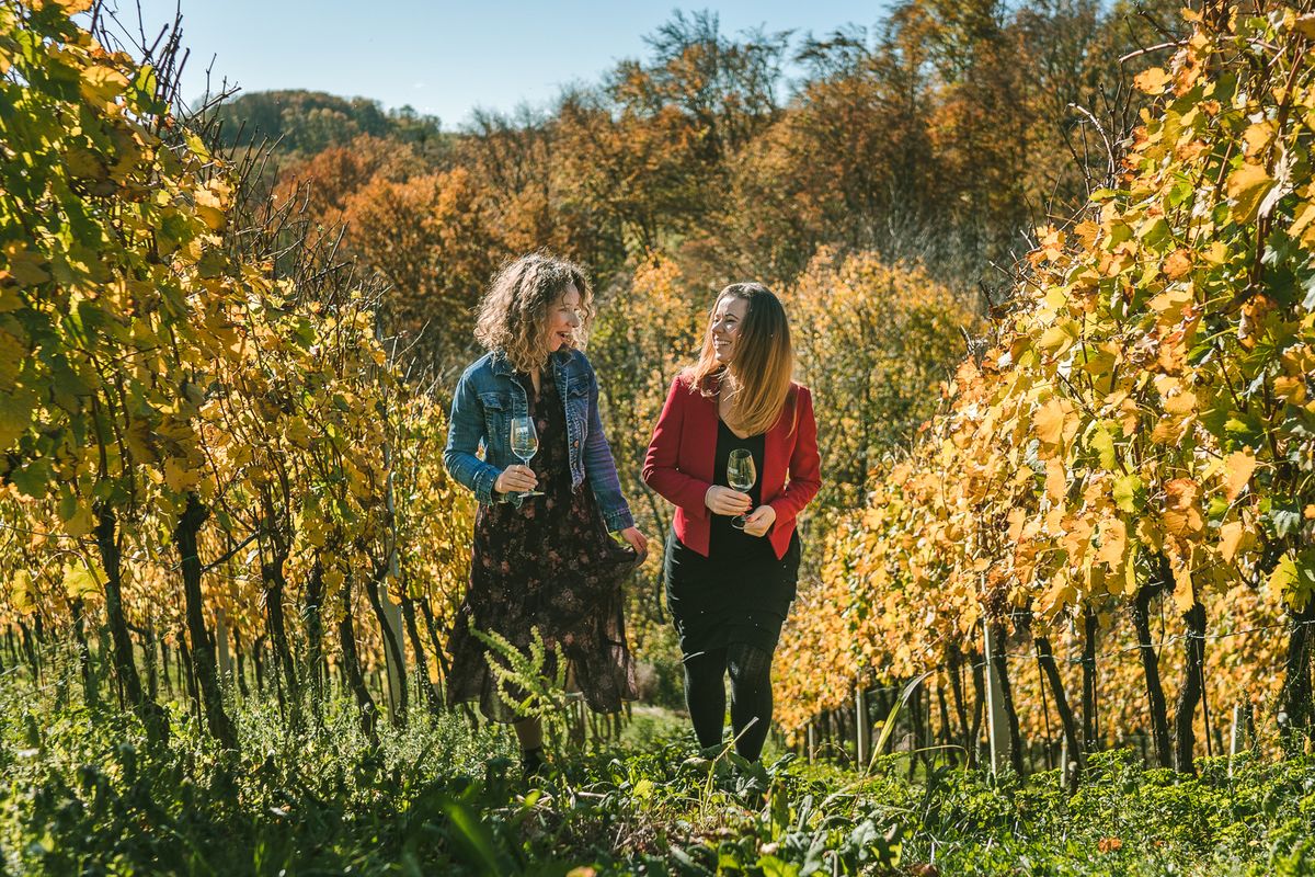 Komadić raja Valentine i Tatjane Hažić smješten je u sjeverozapadnom dijelu Međimurja