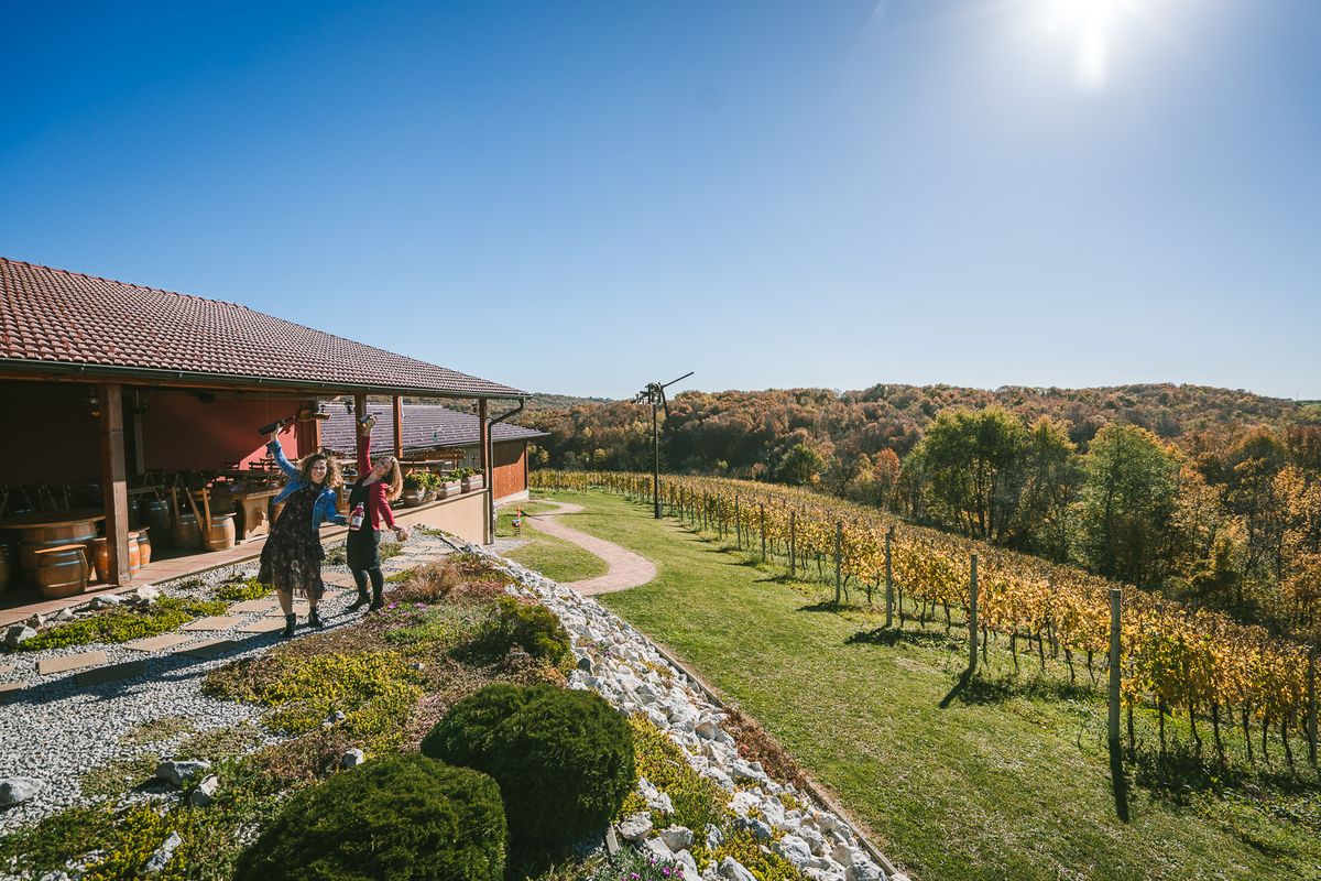 Obiteljsko poljoprivredno gospodarstvo obitelji Hažić