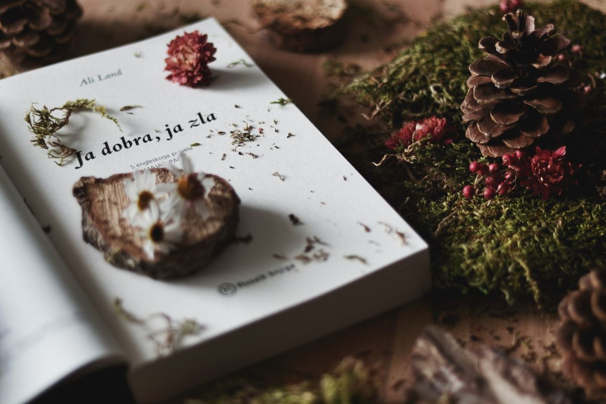 Ovaj psihotriler istovremeno je napet i nevjerojatno zanimljiv