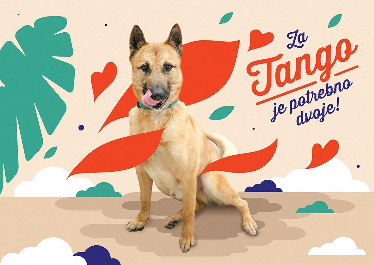 Imelda Ramović (pas Tango)