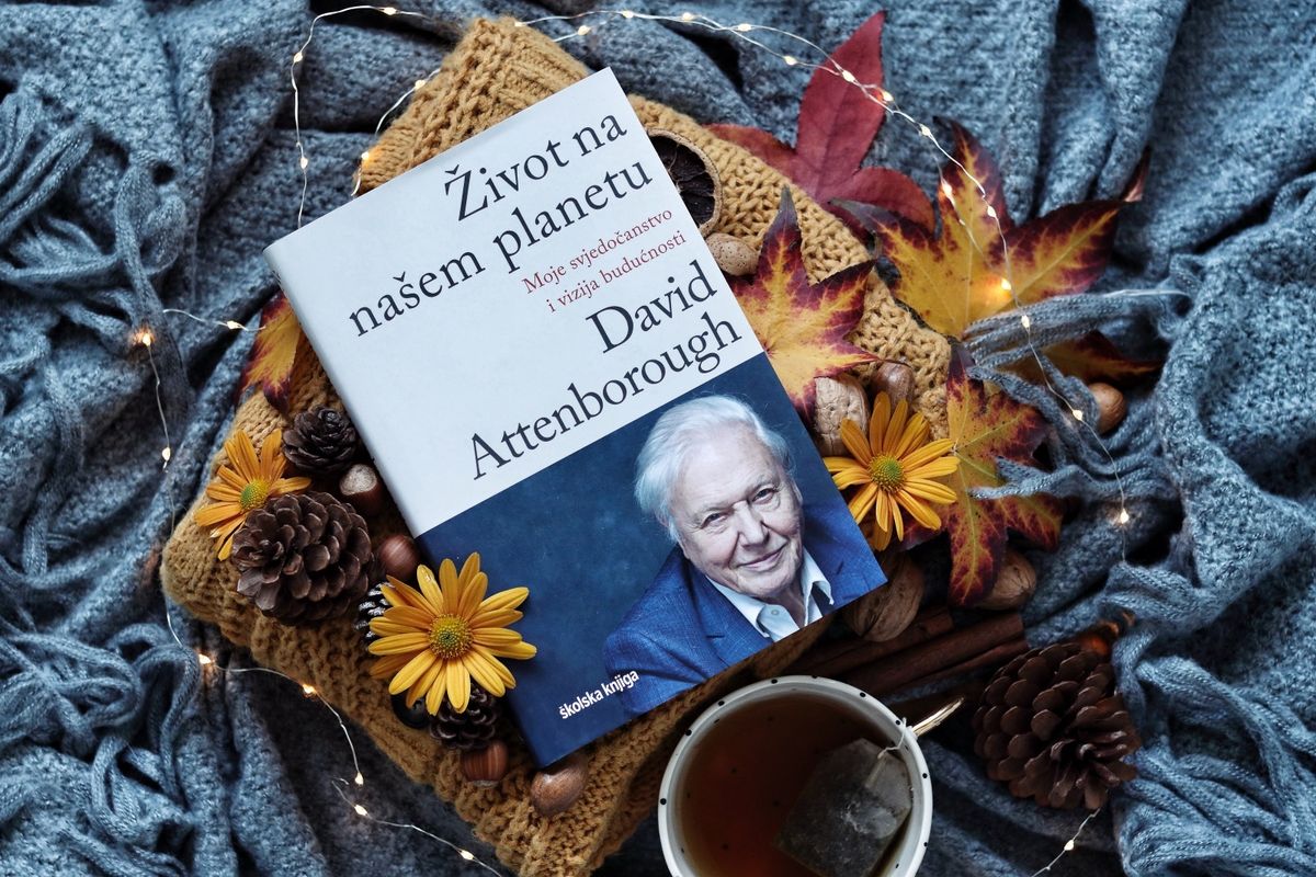 Knjige na popustu - 5