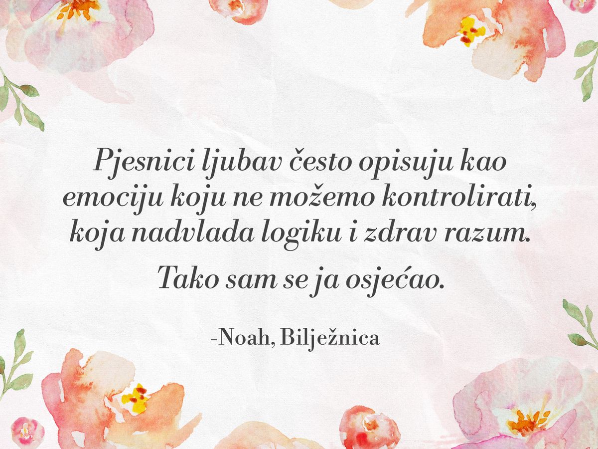 Citati iz filma Bilježnica - 3