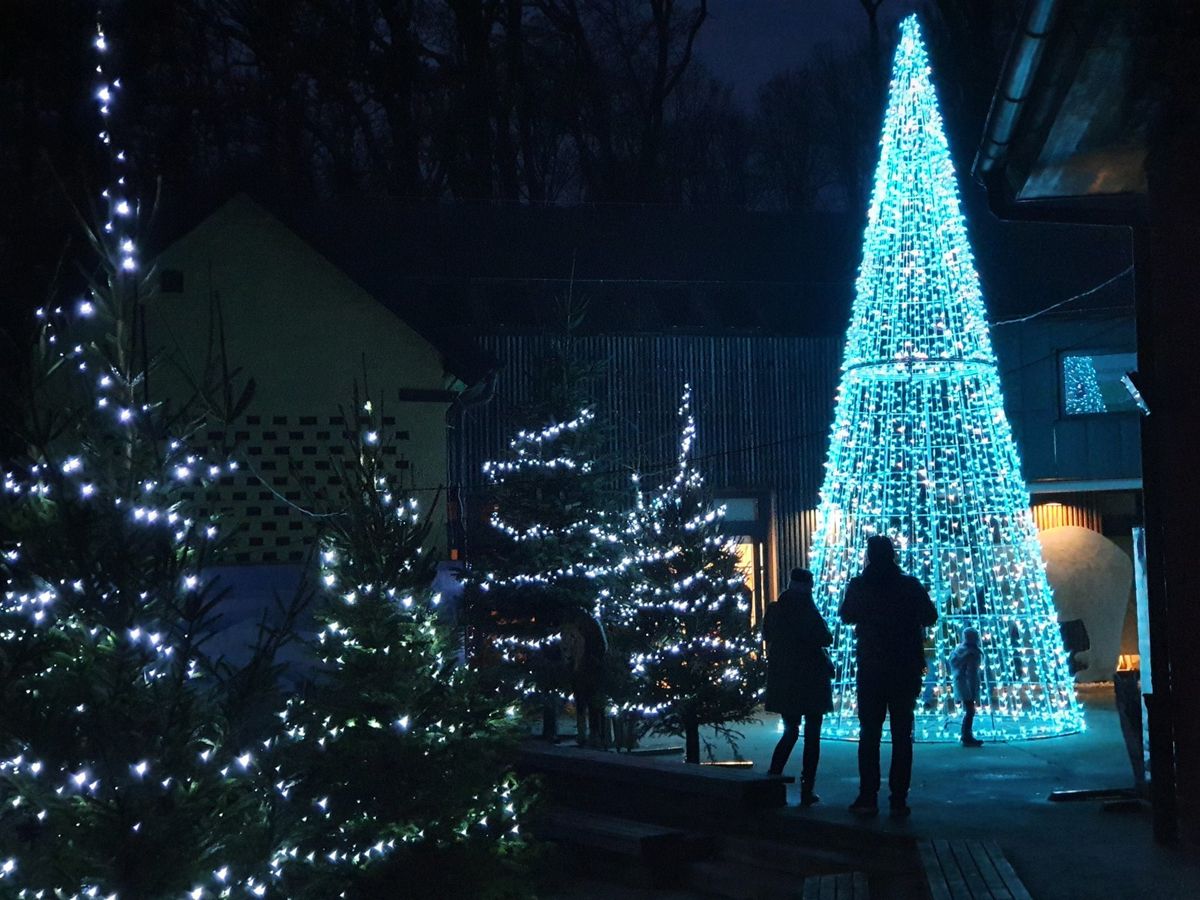 Advent u Divljem srcu grada nadahnut je bajkama Ivane Brlić-Mažuranić - 4