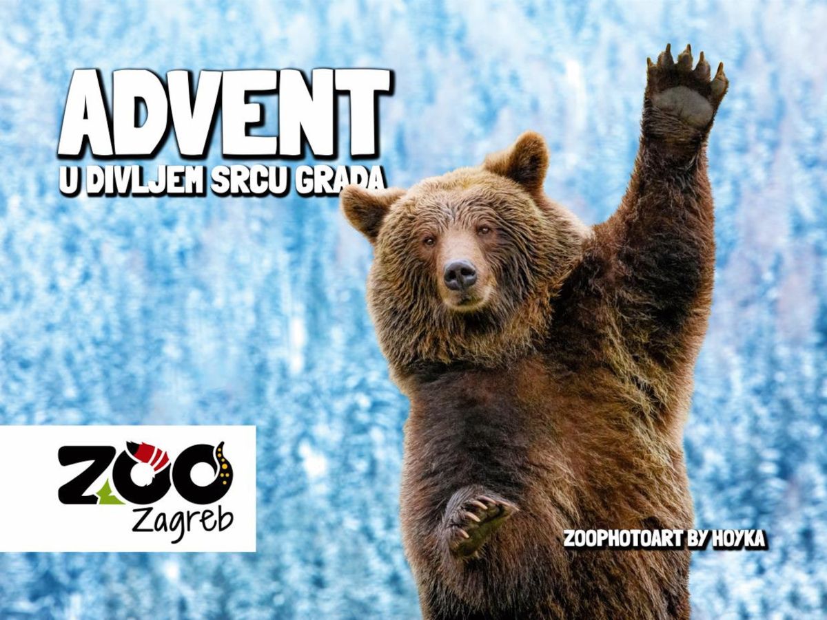 Advent u Divljem srcu grada nadahnut je bajkama Ivane Brlić-Mažuranić - 5