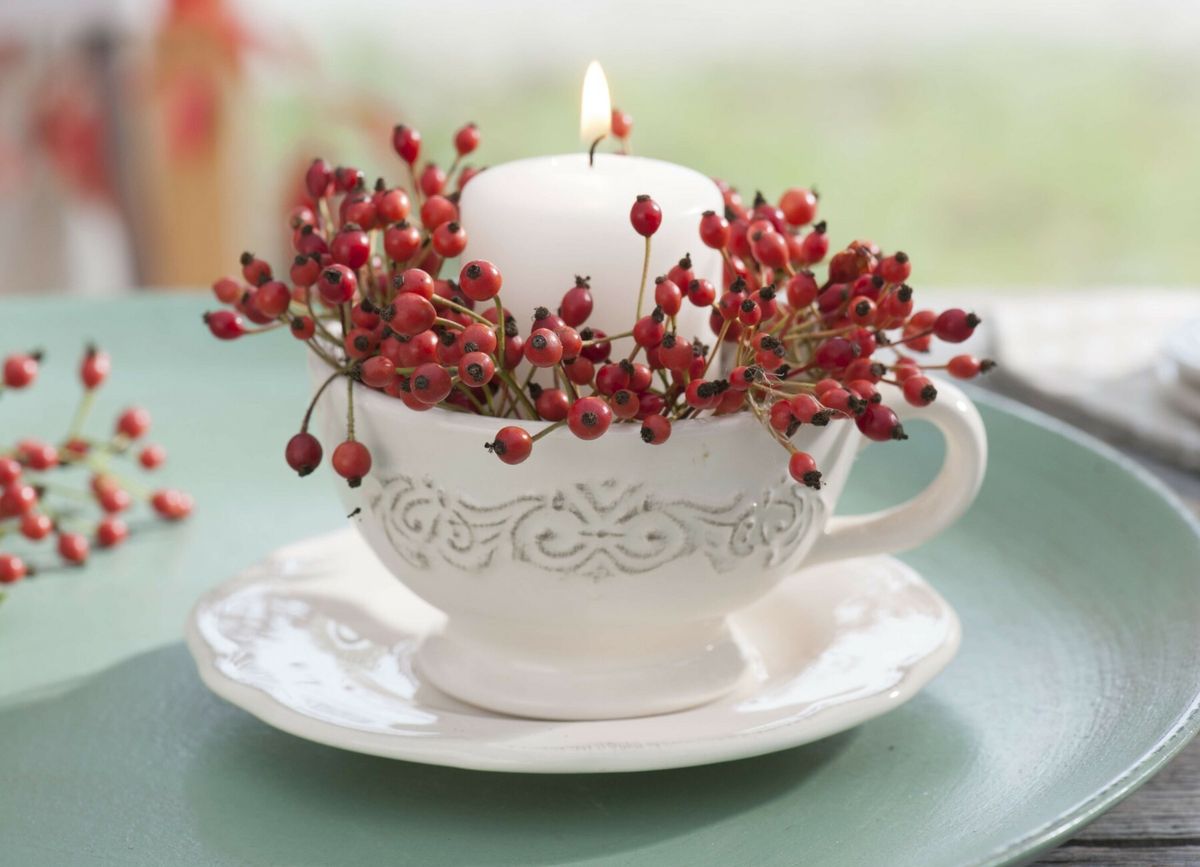 Šipak se itekako može koristiti kao ukras