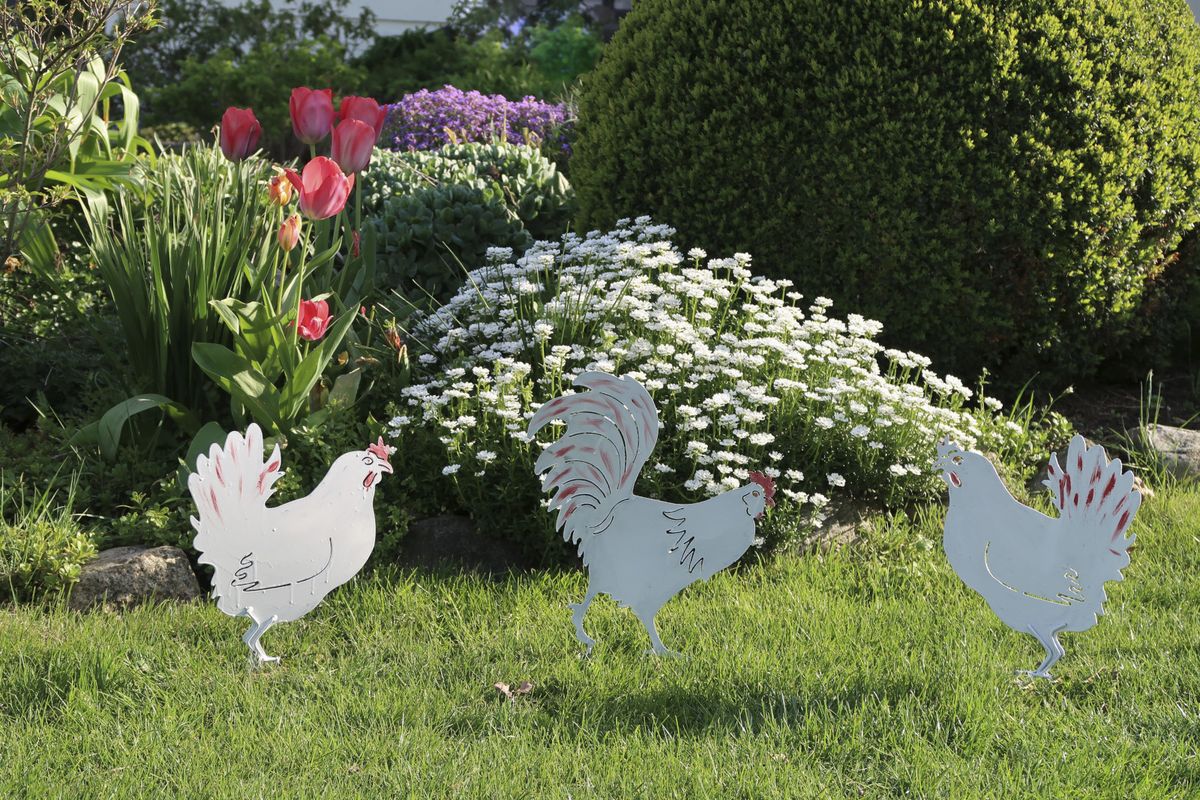 Iberis se često koristi kao ukrasni vrtni grm zbog svojih cvjetova - 1