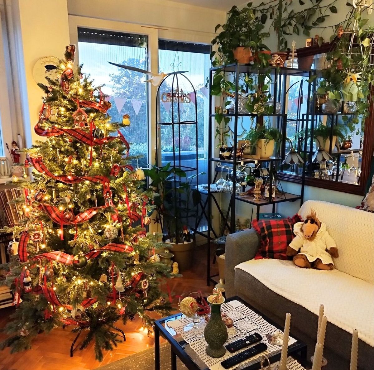 Stan Sonje Vranić - 4